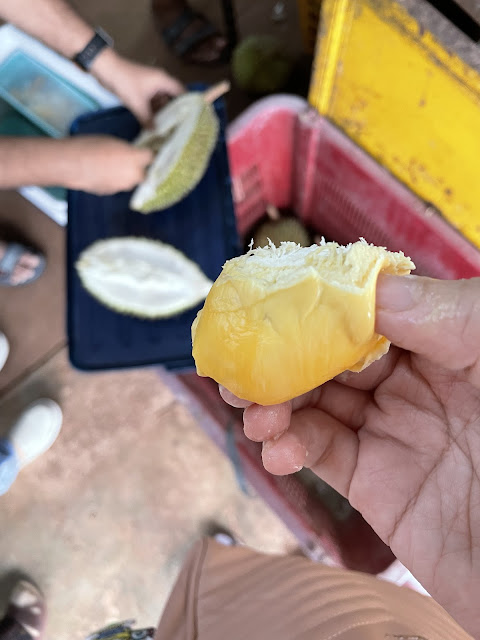 Beli durian dekat muar